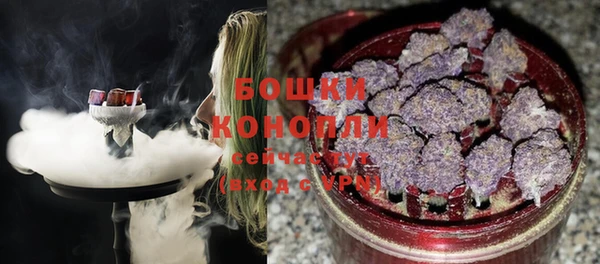 бошки Нея